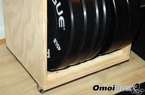 Home Gym Mobile Storage Cabinet by OmoiBox Designs