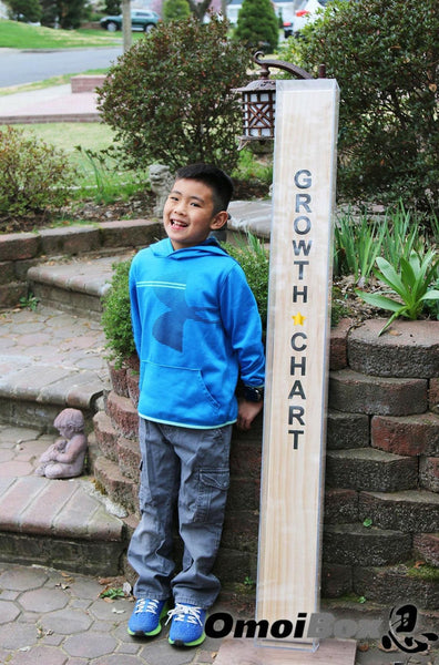 Custom Wall Display Case