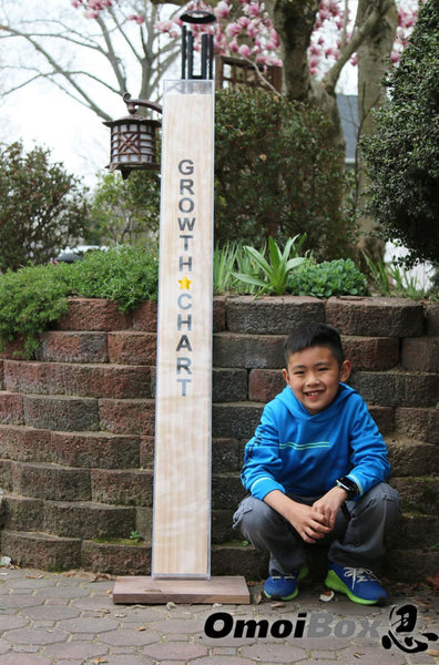 Custom Wall Display Case