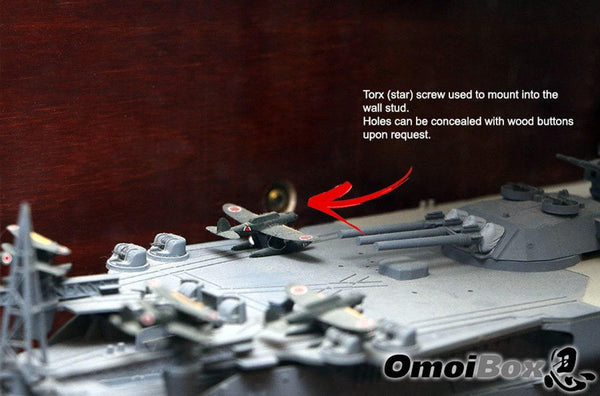 Custom Wall Display Case